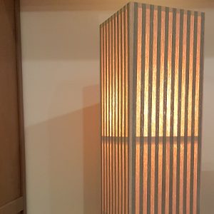 modern shaded wood lamp